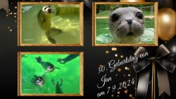 Geburtstag
