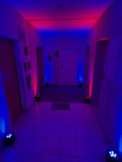 ✨ Neu bei Galaxy Eventservice ✨ 
Unsere brandneuen Akku LED-Par-Lampen sind da! 🎉
✔ 6x leistungsstarke RGBWA+UV Scheinwerfer 
✔ Drahtlos, akkubetrieben & absolut flexibel 
✔ Mit praktischem Flightcase – direkt einsatzbereit 
✔ Perfekt für Hochzeiten, Partys, Konzerte & Events
Ob stimmungsvolles Ambientelicht oder kräftige Bühnen-Show – mit unseren neuen Lampen verleihst du jeder Veranstaltung das gewisse Etwas! 🎶💡
Jetzt bei uns mieten und dein Event ins richtige Licht setzen. 
📩 Anfrage an: info@galaxy-eventservice.de 
📱 WhatsApp: +49 36082 916303
#GalaxyEventservice #Eventtechnik #AkkuLicht #LEDPar #RGBWAUV #Eventbeleuchtung #Vermietung #Hochzeit #partylicht